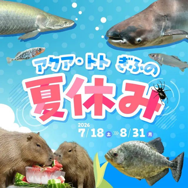 アクア・トト ぎふの夏休み