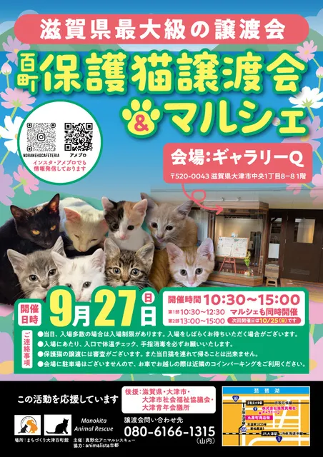 百町保護猫譲渡会＆マルシェ