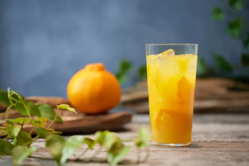 Dekopon Gin Tonic