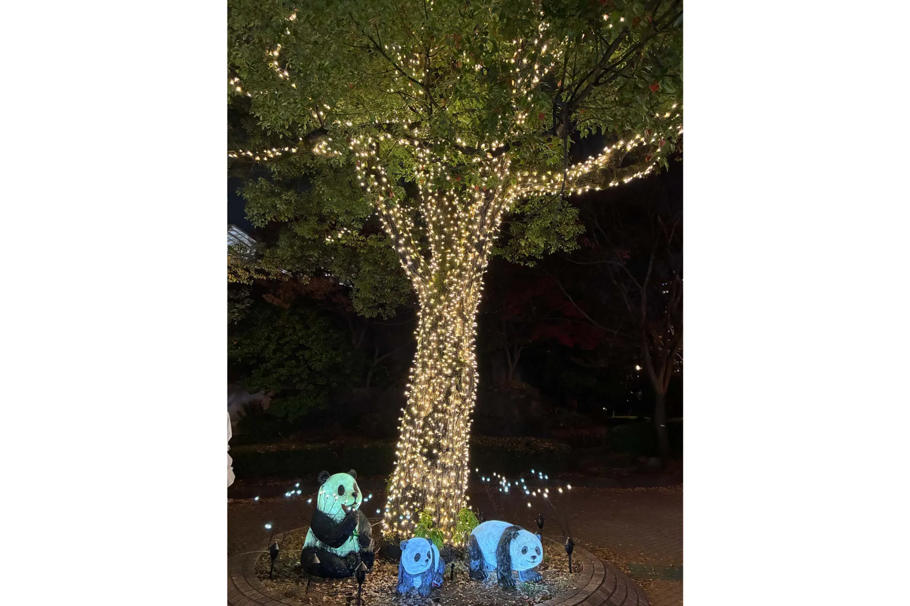 上野シタマチ CHRISTMAS_6