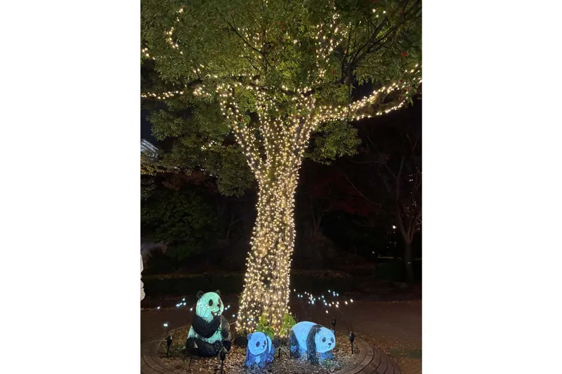 イルミネーション＆パンダオブジェ