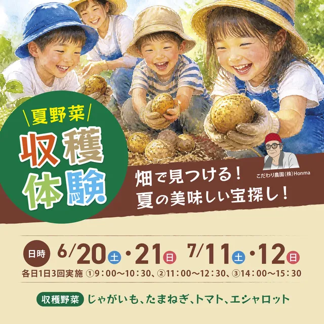 夏野菜 収穫体験