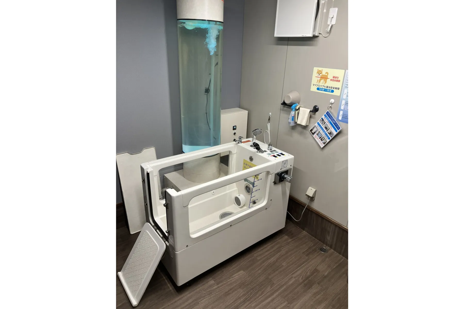夏季ドッグプール営業_6