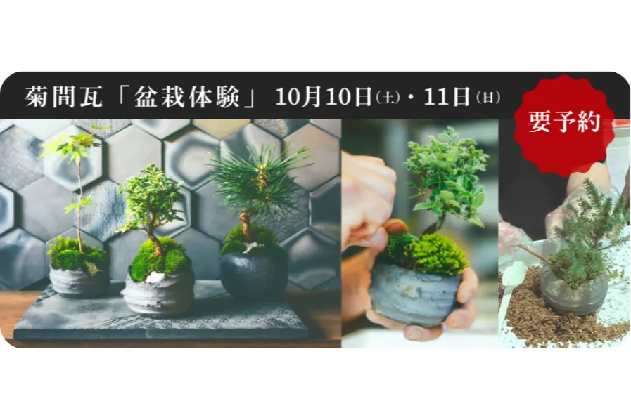 今治まつり in 渋谷_10