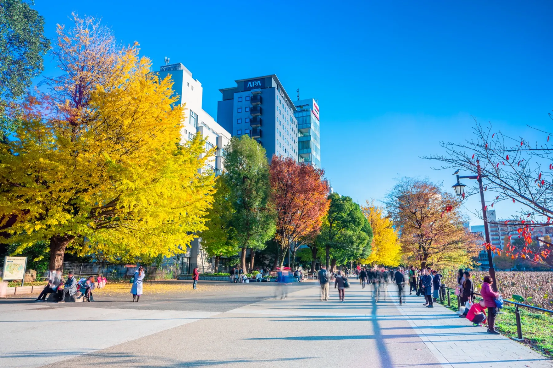 上野恩賜公園（上野公園）の紅葉情報_2