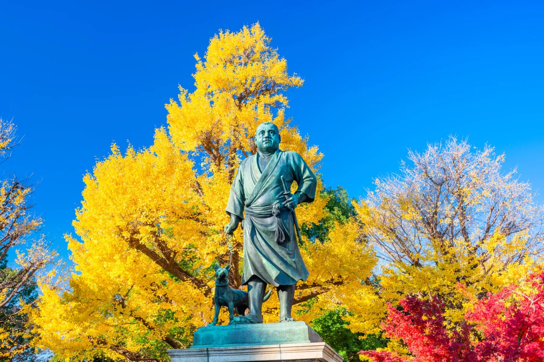 上野恩賜公園（上野公園）の紅葉情報_3
