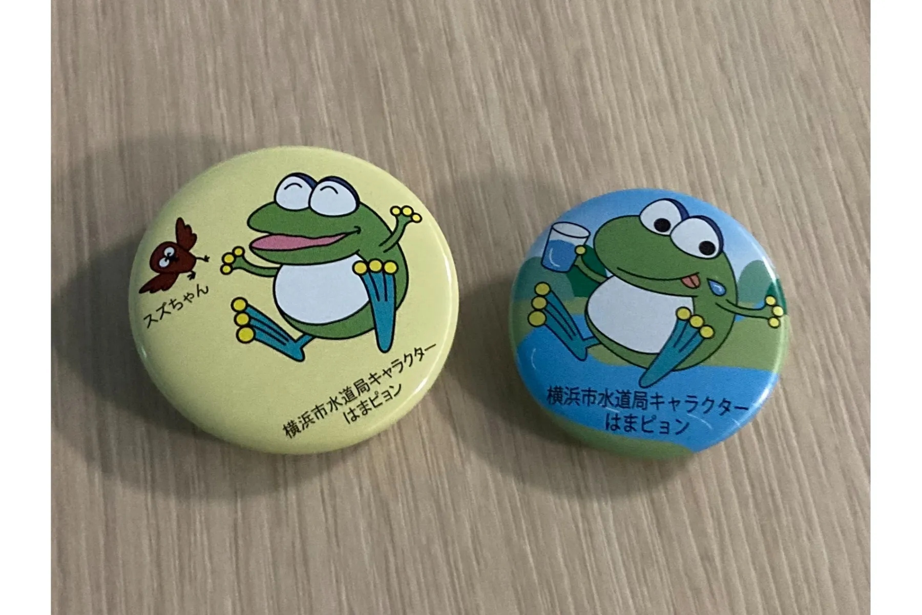 夏休みSDGsフェア_8