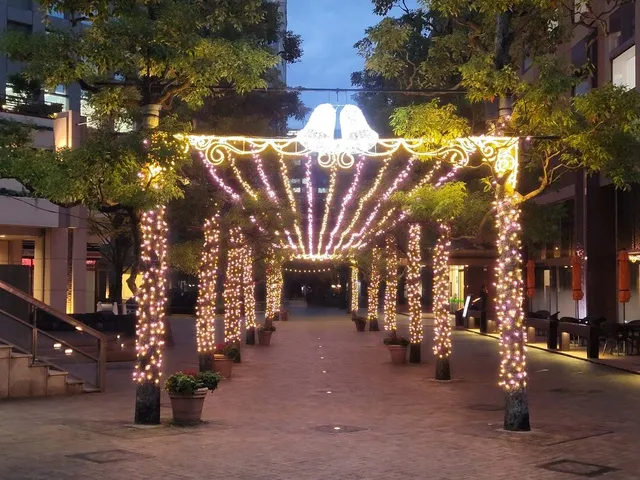 Crystal Garden 2025-2026