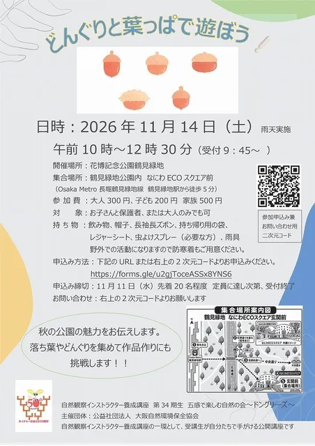 どんぐりと葉っぱで遊ぼう！