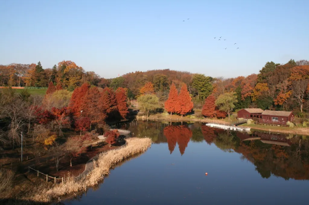 ふなばしアンデルセン公園の紅葉情報_2