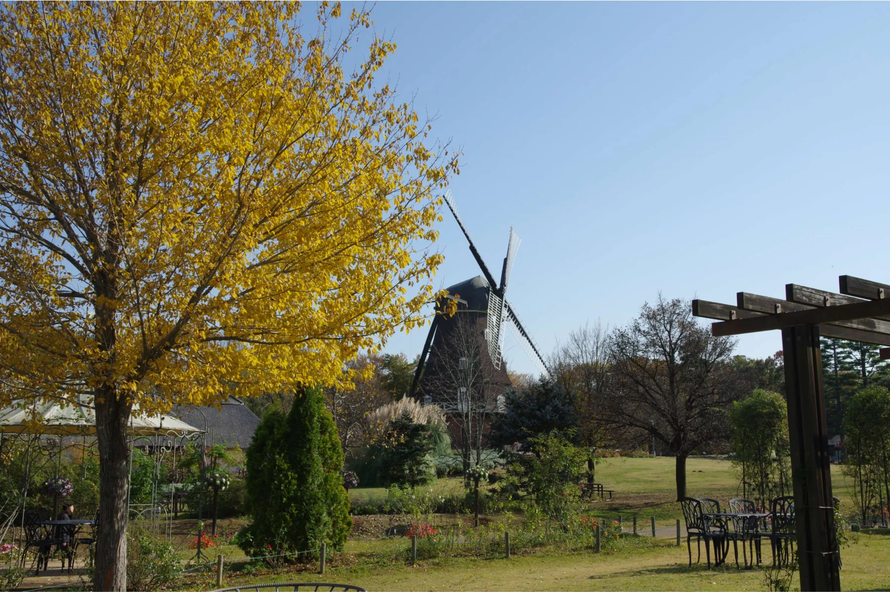 ふなばしアンデルセン公園の紅葉情報_3