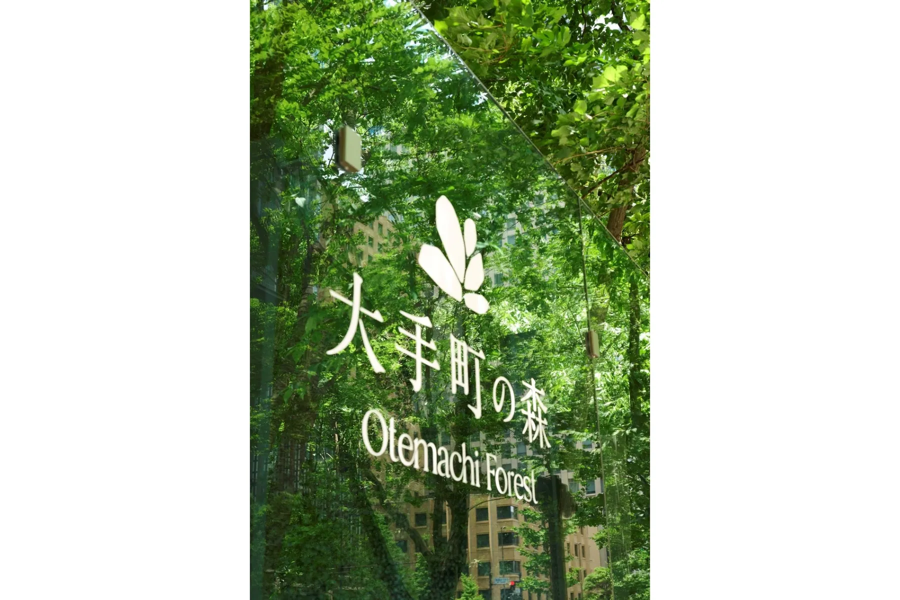 森の市2026 ―都市の森で同期する―_10