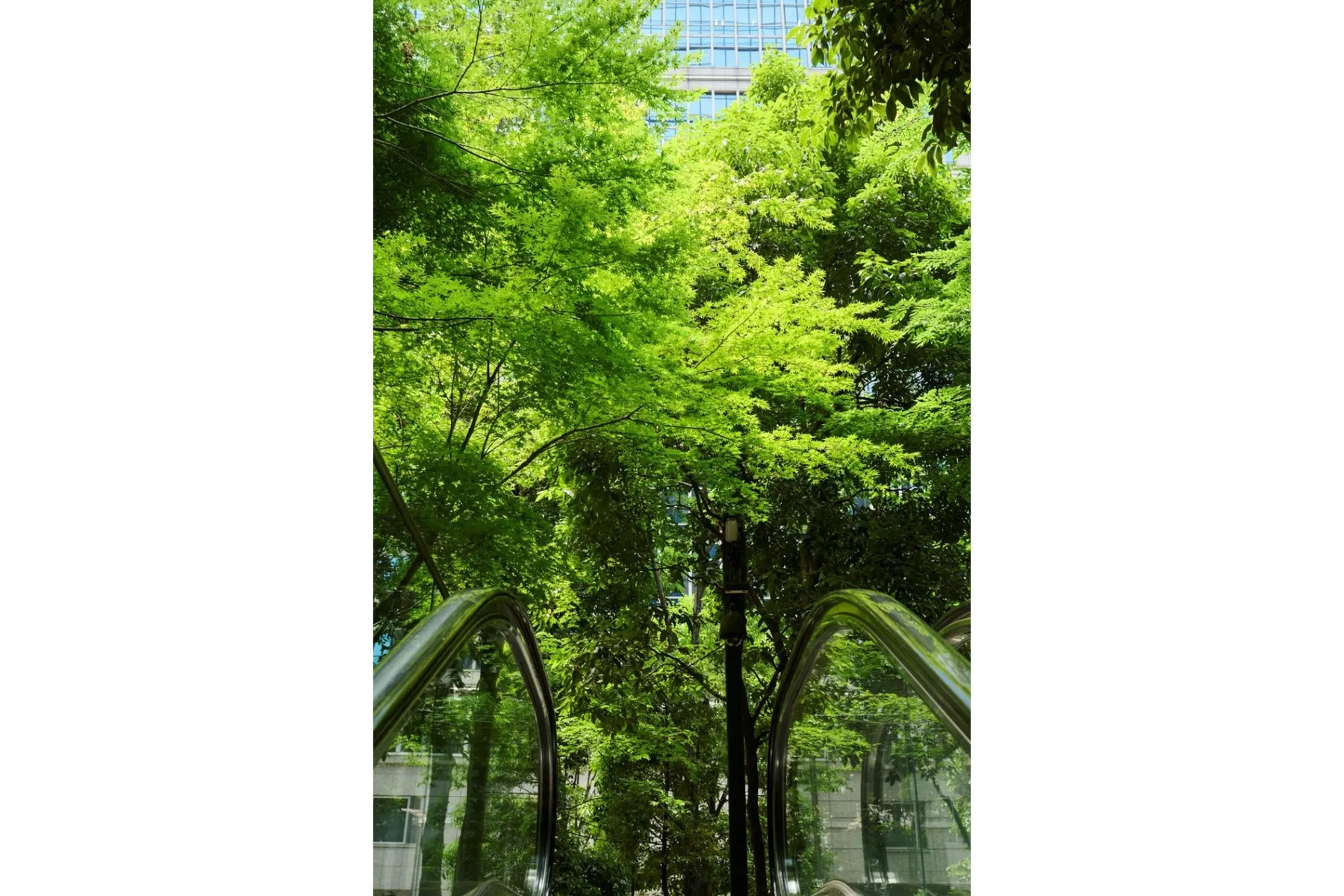 森の市2026 ―都市の森で同期する―_13