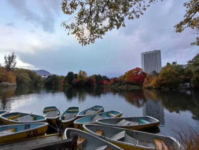 【紅葉・見ごろ】中島公園