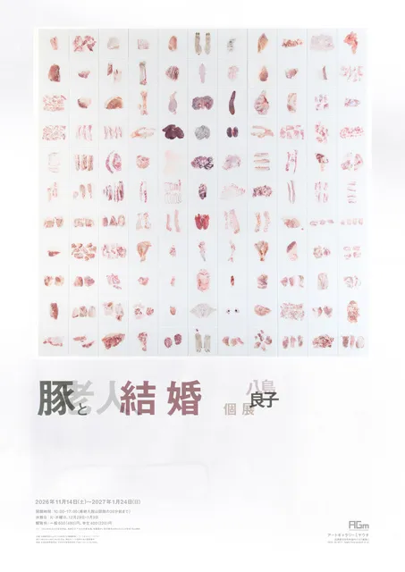 八島良子の個展「豚と老人、結婚」アーティスト・トーク&オープニング・パーティー