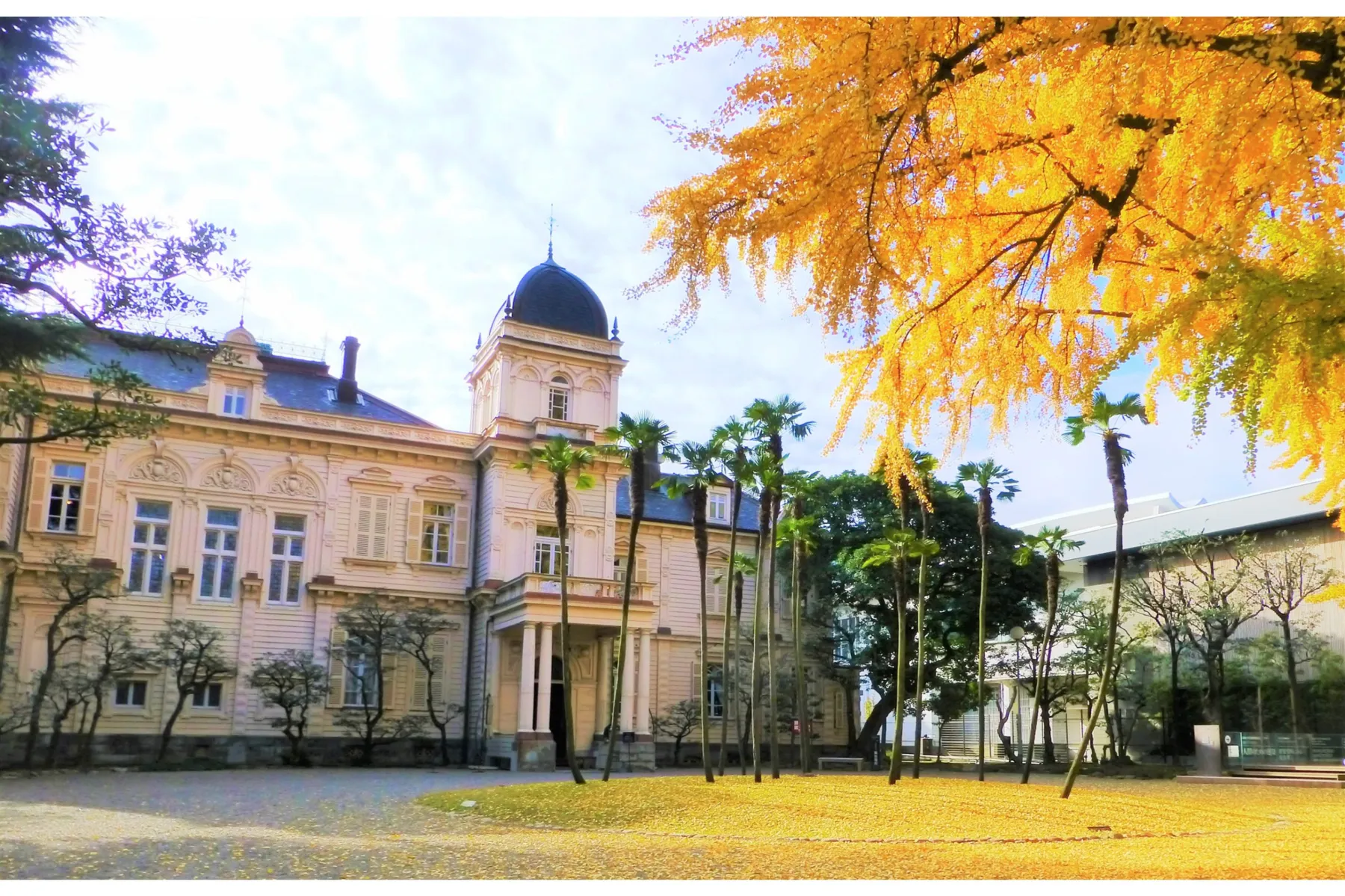 旧岩崎邸庭園の紅葉情報_2