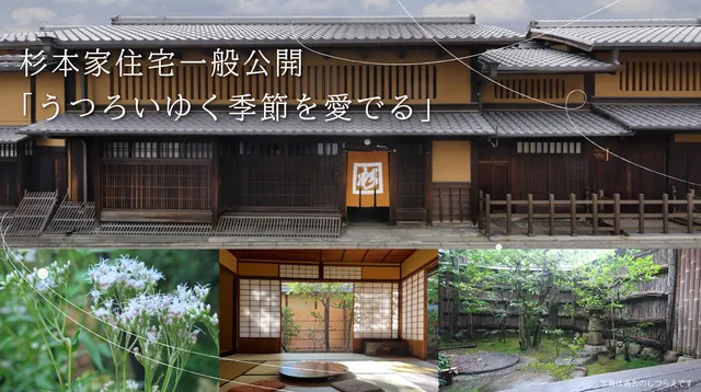 重要文化財 杉本家住宅一般公開「うつろいゆく季節を愛でる」