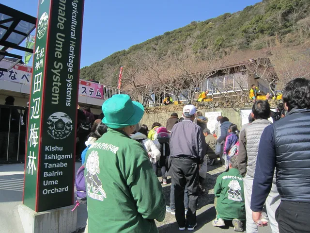 2026　紀州石神田辺梅林ウォーク