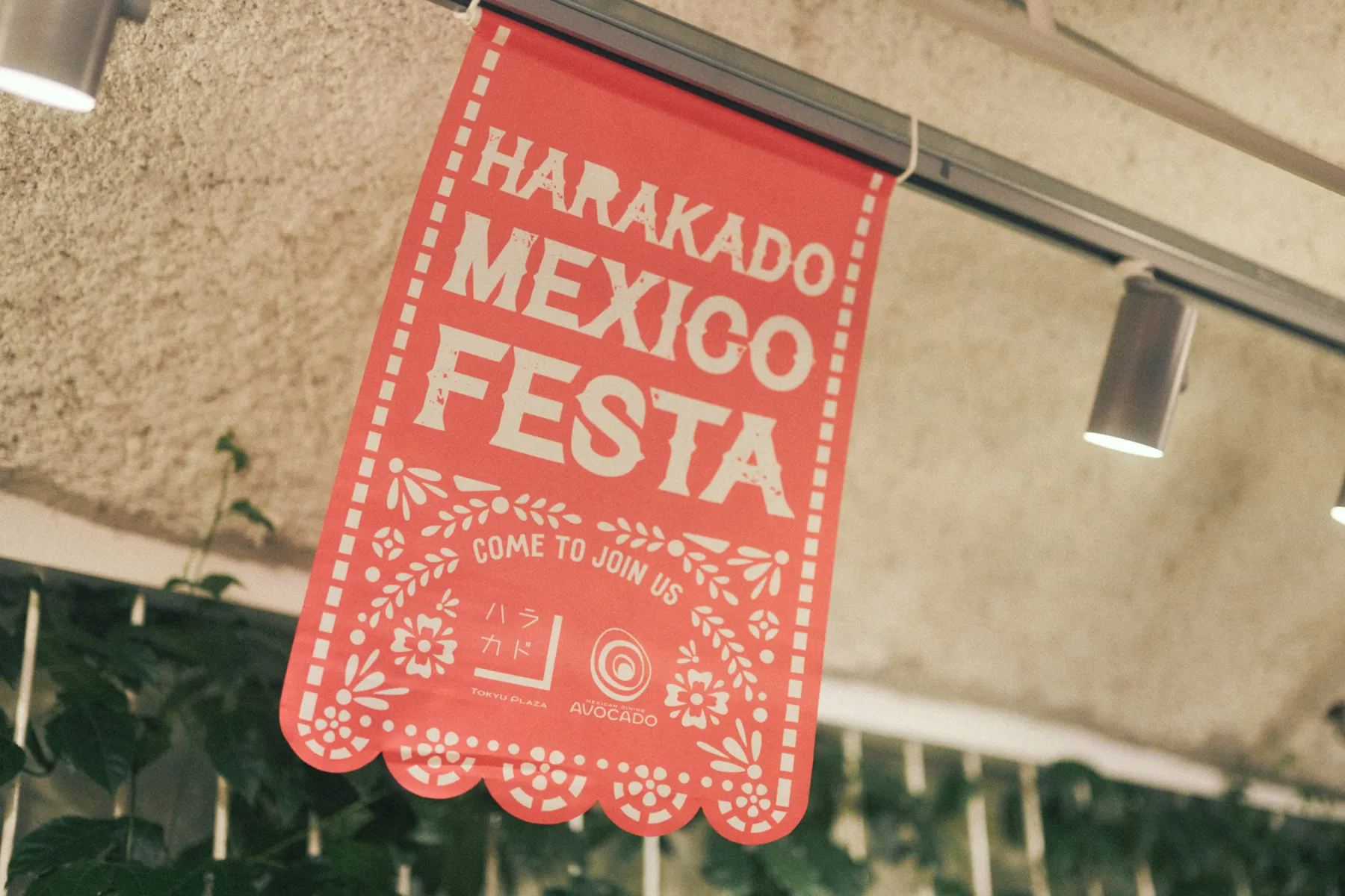 HARAKADO MEXICO FESTA 2026_15
