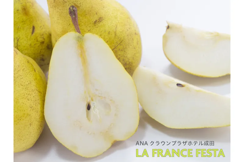 画像はイメージです