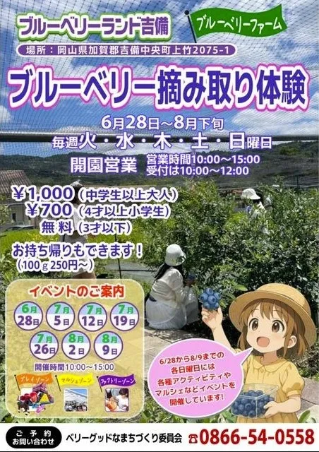 ブルーベリーランド吉備 ブルーベリー摘み取り体験_1