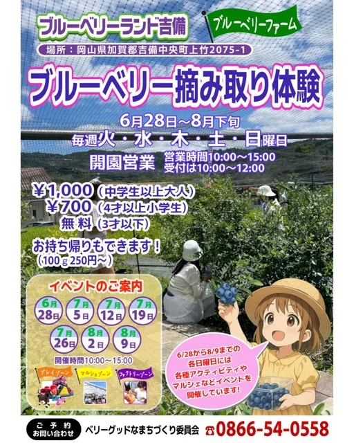 ブルーベリー摘み取り体験