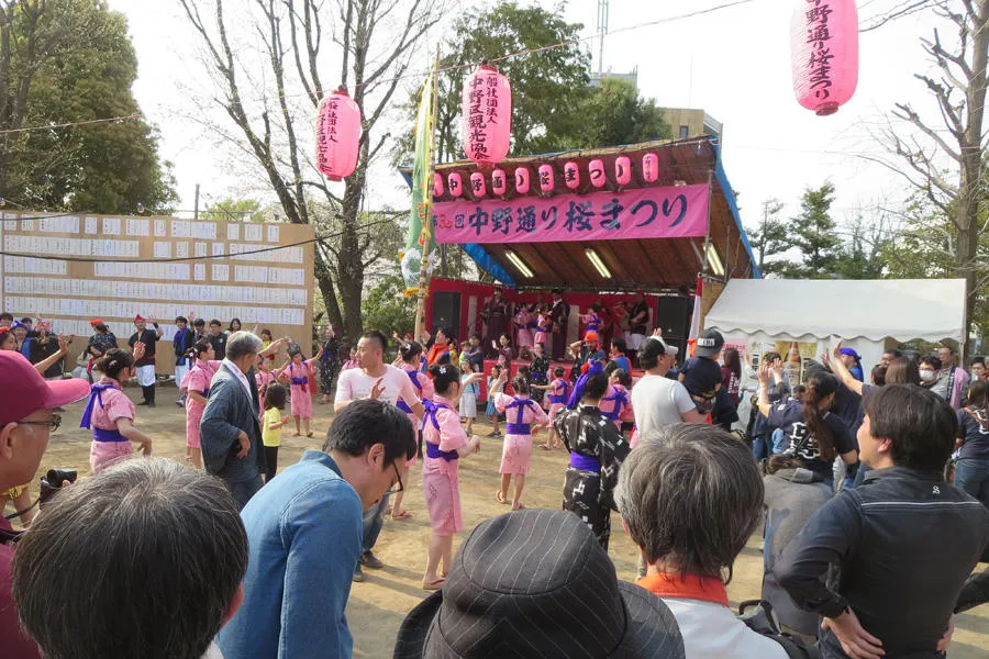 中野通り桜まつり_2