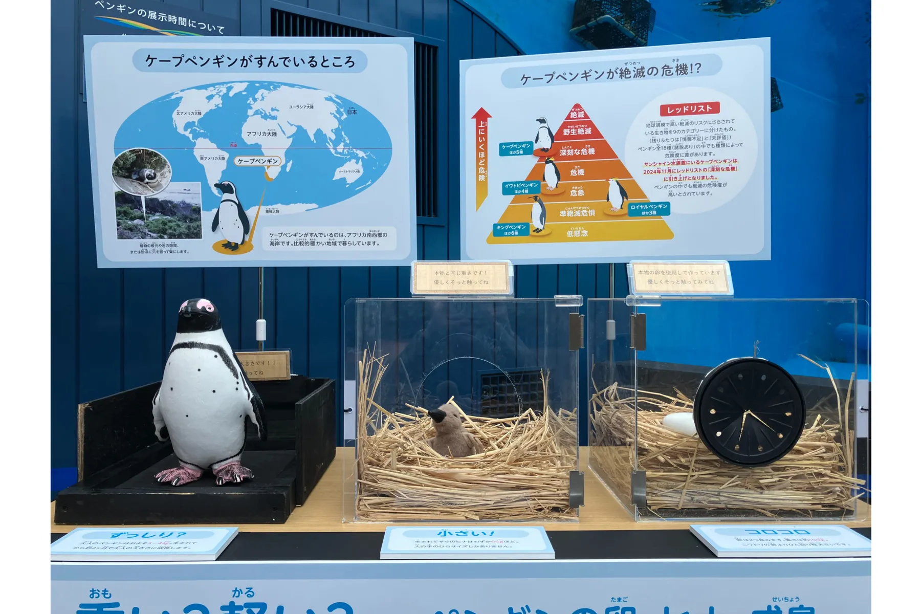 世界ペンギン・カワウソの日2026 in サンシャイン水族館_10