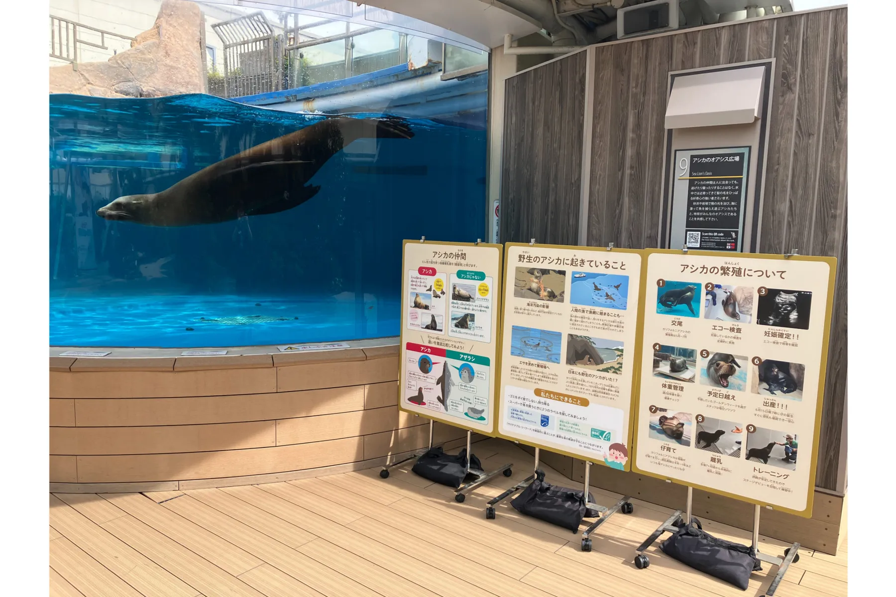世界ペンギン・カワウソの日2026 in サンシャイン水族館_2