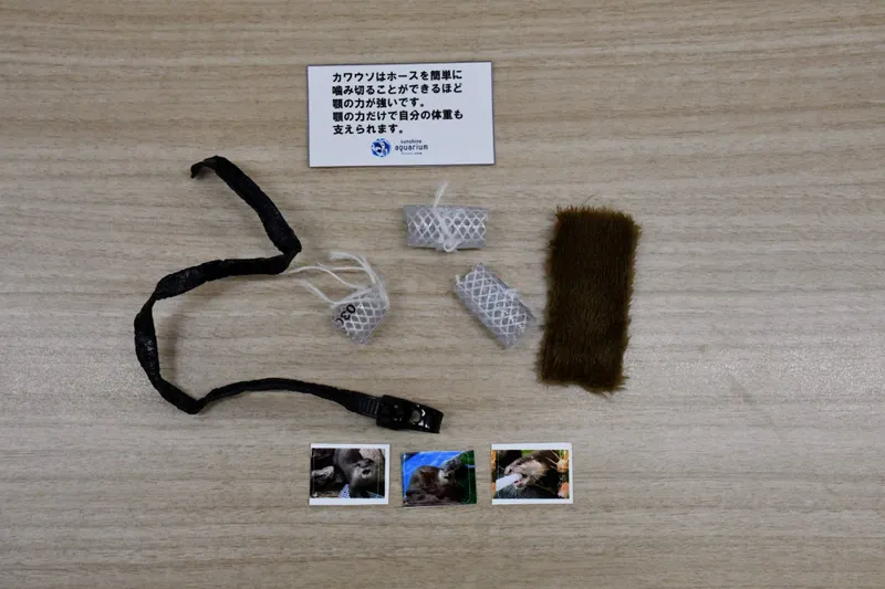 ※カワウソのカプセルには、布の切れ端やホースなどの中から1種入っています※シールは一部のカプセルに入っています