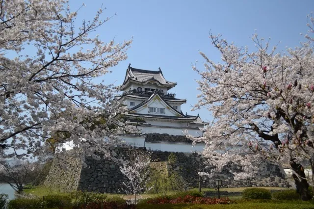 岸和田市お城まつり