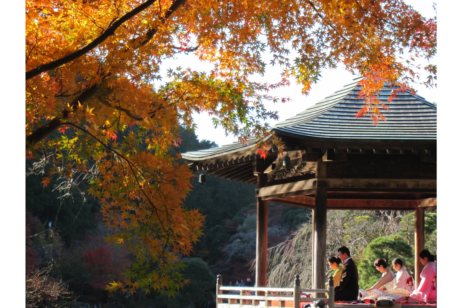 成田山新勝寺成田山公園の紅葉情報_3