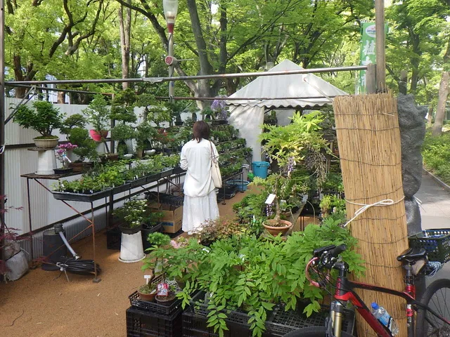 春の植木市（靭公園）
