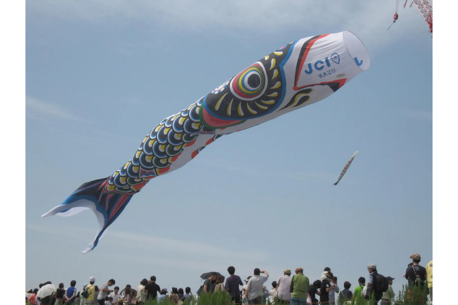 加須市民平和祭（ジャンボこいのぼり遊泳）_1
