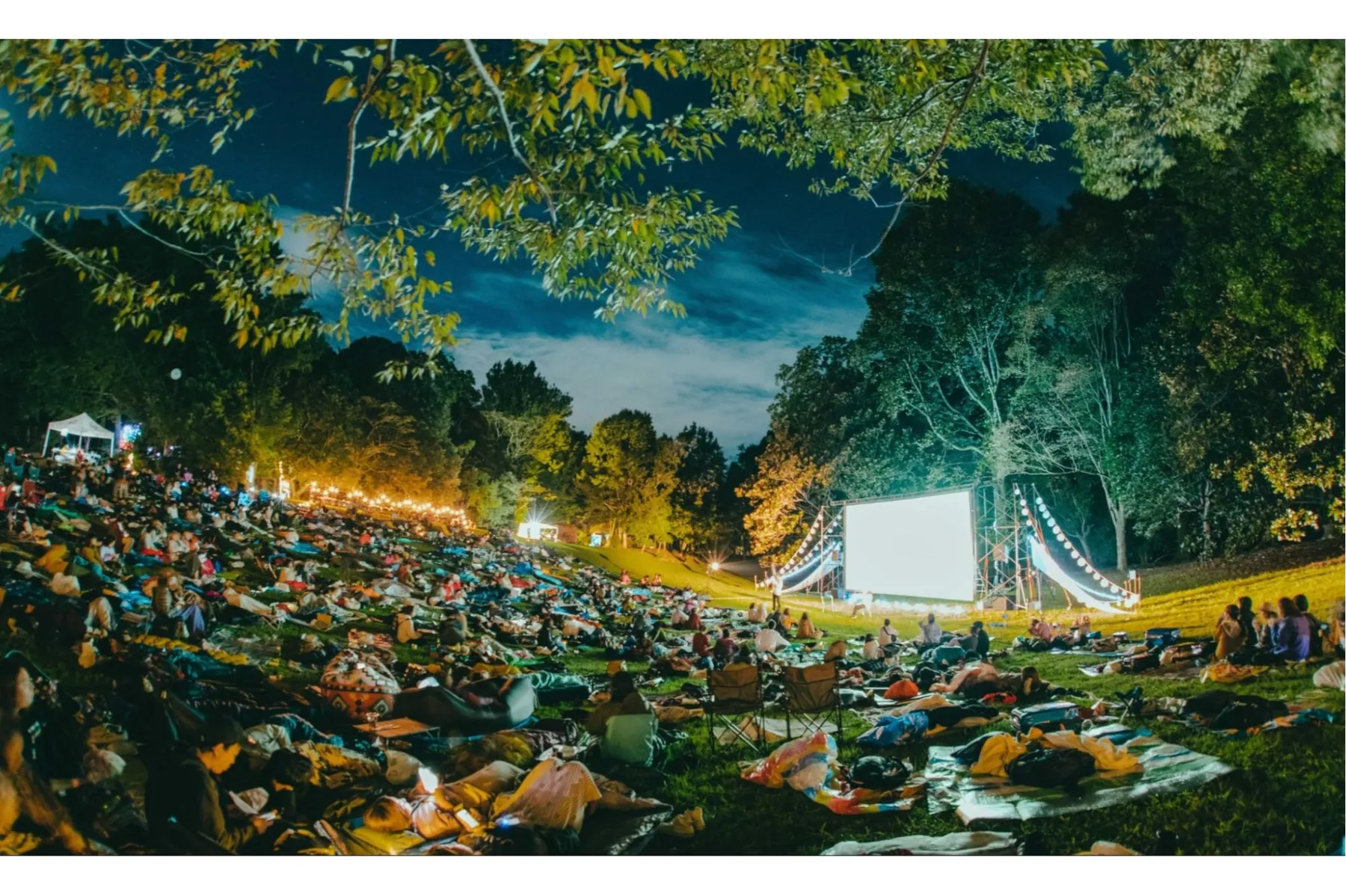 街の呼吸と森の映画祭 2026_10