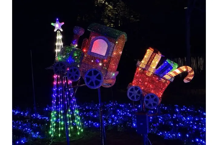 くりはま花の国　ウインターイルミネーション2025_1