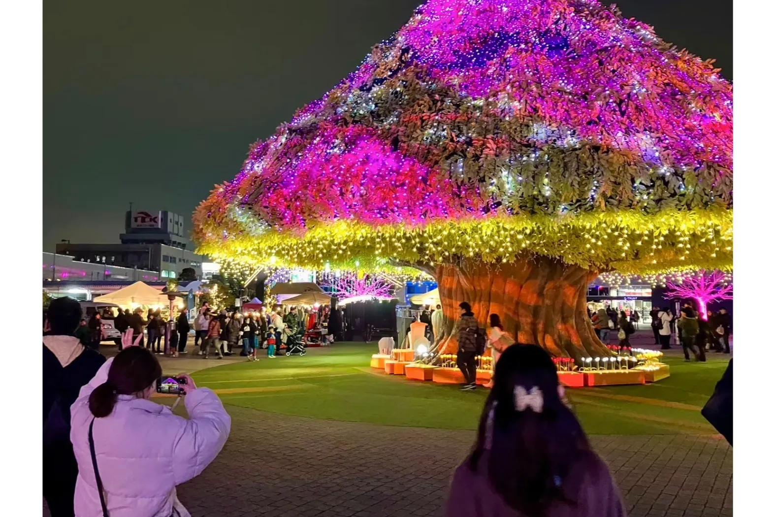 Outdoor Xmas Week_7