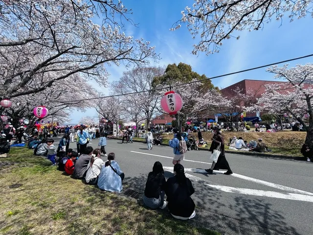 名張桜まつり