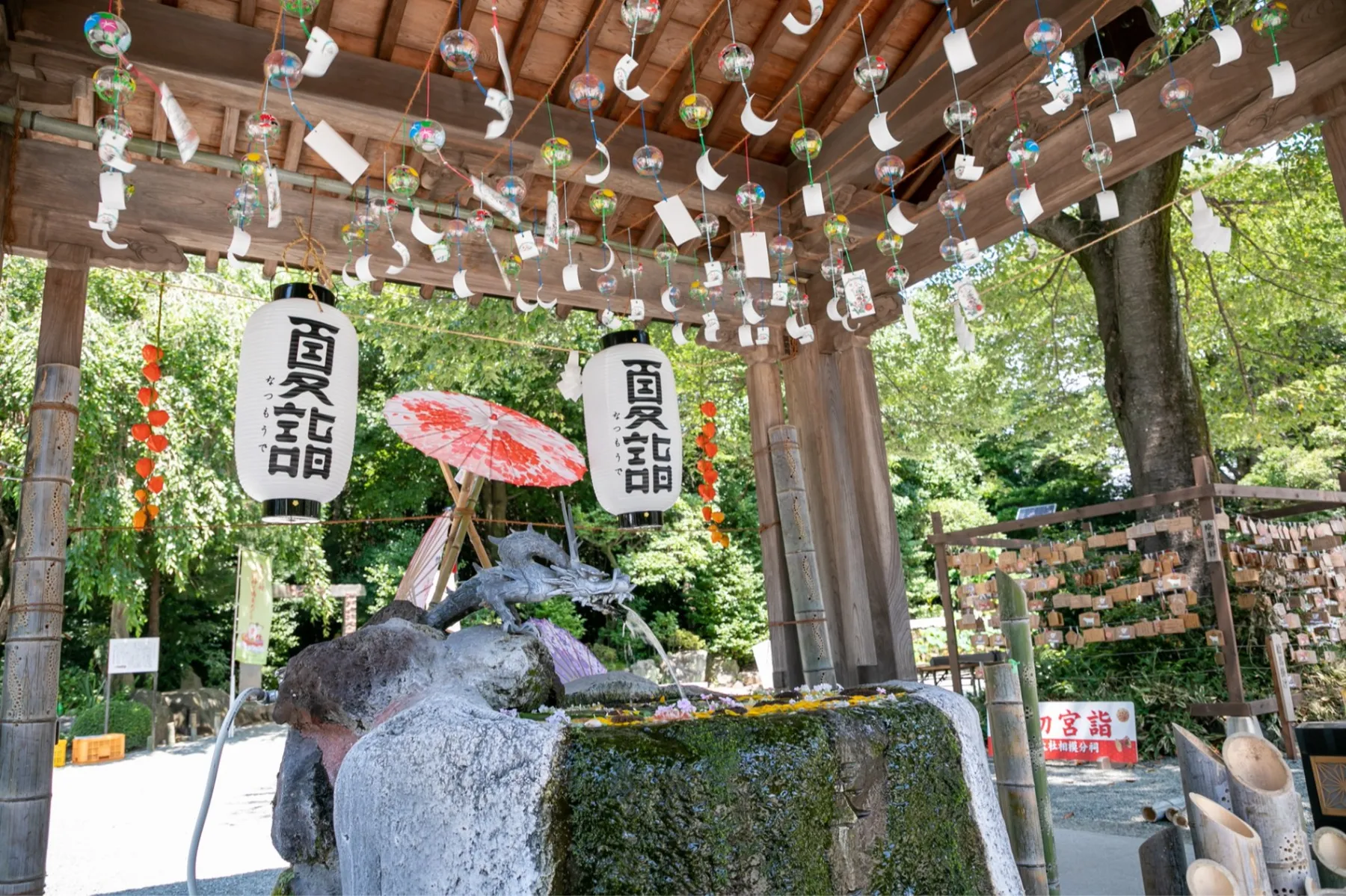 出雲大社相模分祠「夏詣」_4