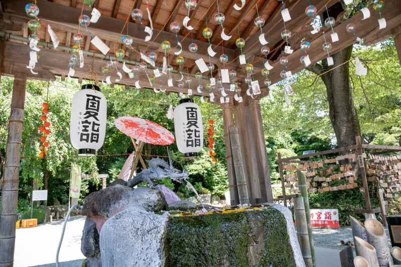 出雲大社相模分祠「夏詣」_4