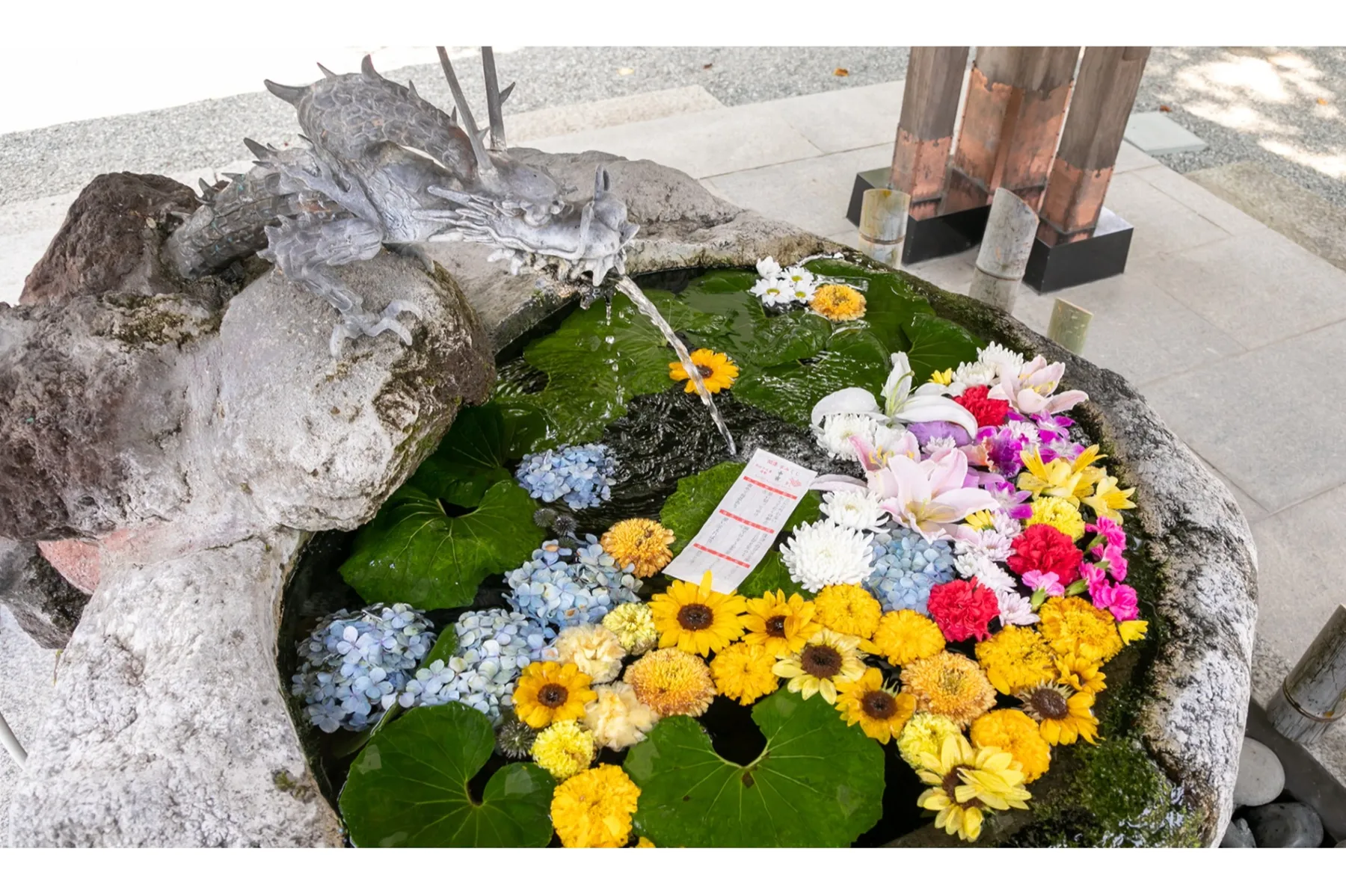 出雲大社相模分祠「夏詣」_5