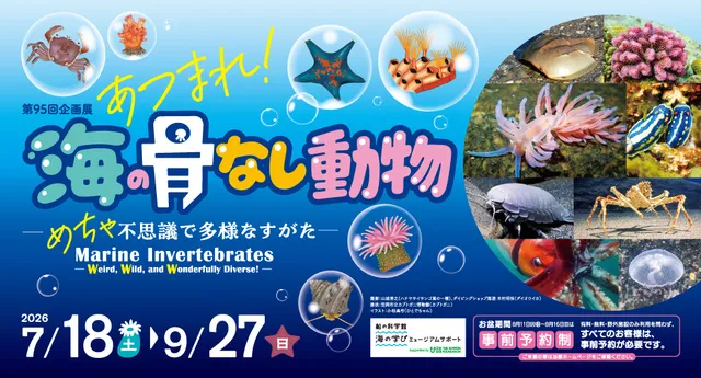第95回企画展「あつまれ！海の骨なし動物ーめちゃ不思議で多様なすがたー」