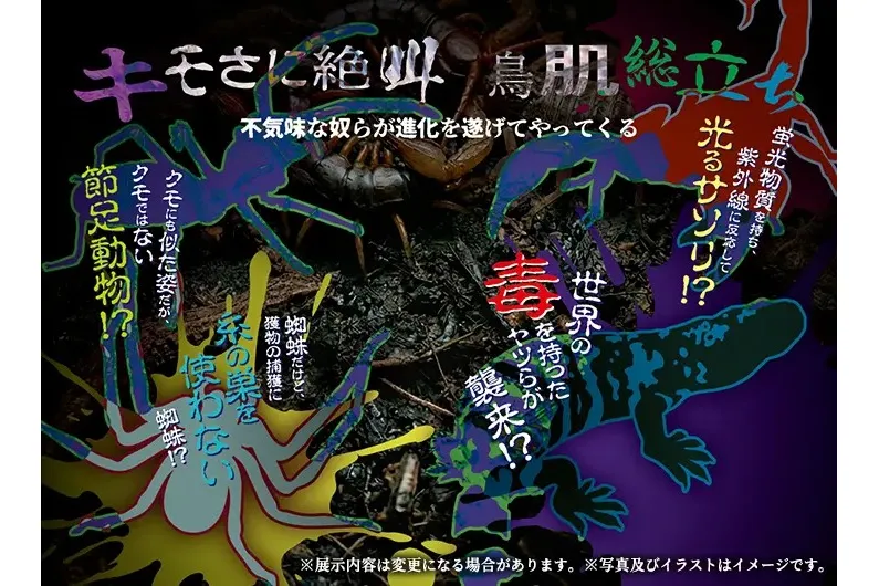 世界中から集めた、奇妙な姿をした生き物を紹介・展示