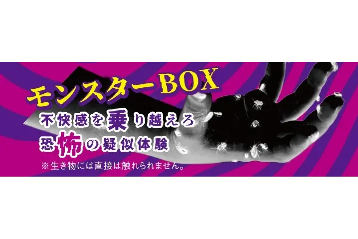 モンスターBOX