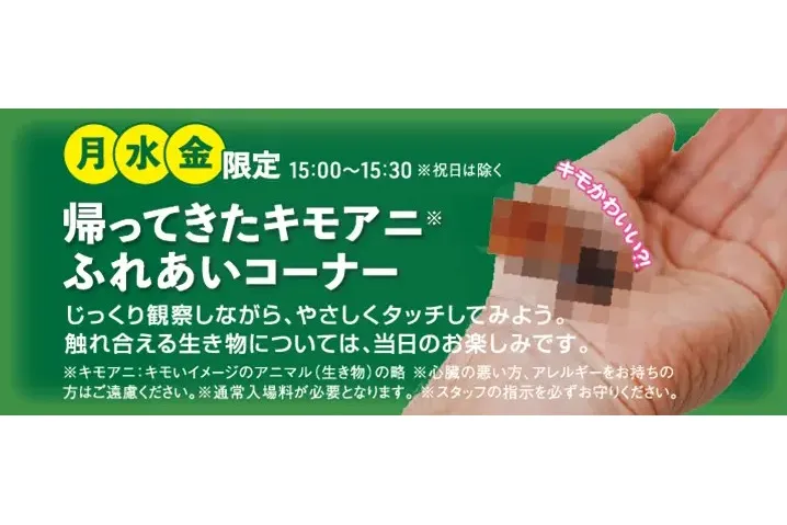 ふれあいコーナー