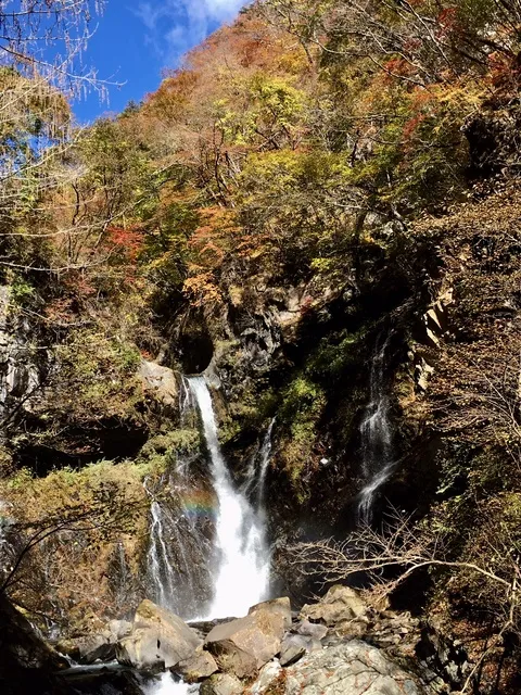 【紅葉・見ごろ】裏見滝