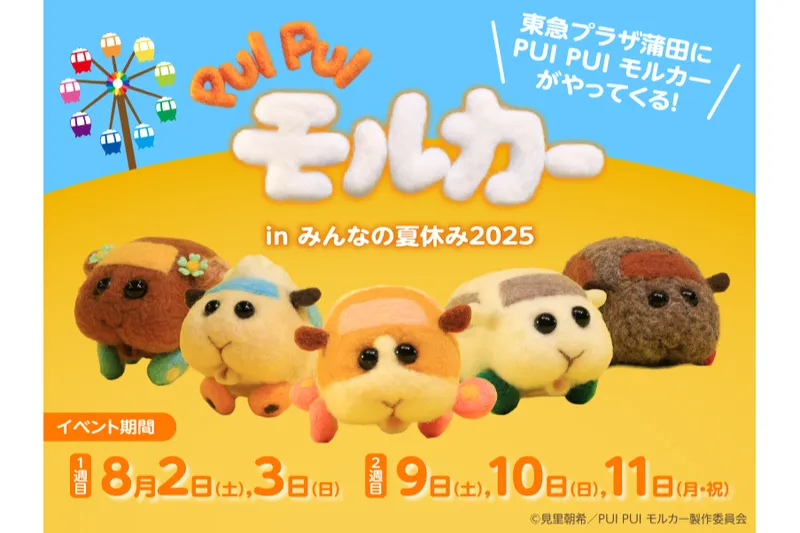 「PUI PUI モルカー in みんなの夏休み2025」キービジュアル　©見里朝希／PUI PUI モルカー製作委員会