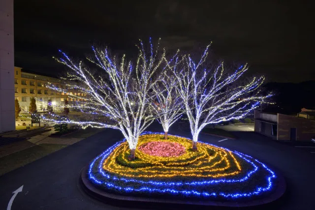 徳島文理大学高松駅キャンパス　イルミネーション2025