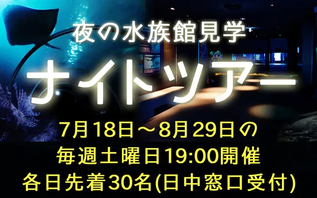 夏休み！水族館ナイトツアー