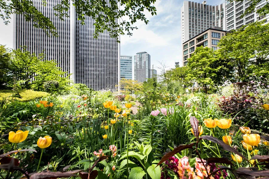 洋書◆都市空間写真集 本 公園 ルーフガーデン 風景 開発 設計 洋書◇都市空間写真集 本 公園 ルーフガーデン 風景 開発 設計